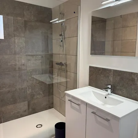 Le Mahuzies 5 - Hypercentre - 2 * Castres (Tarn)